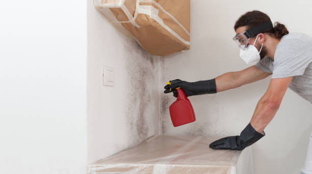 Professional Mold Removal technician working in Hudson, NC