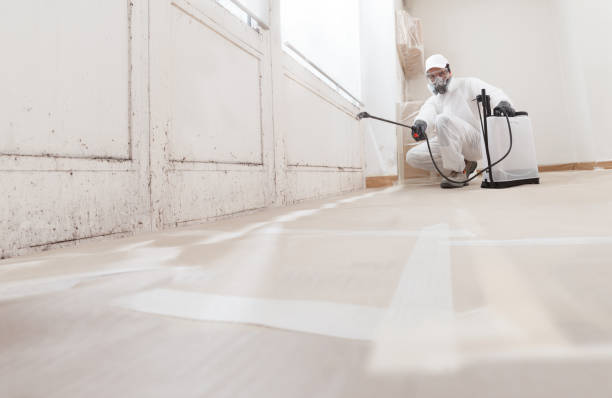 24/7 Emergency Mold Removal experts in Hudson, NC