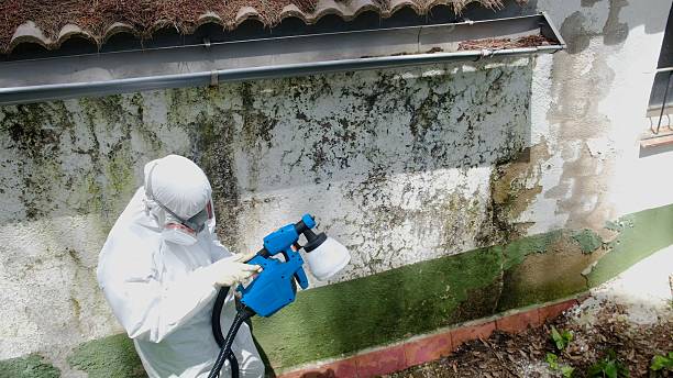 Top rated local Mold Removal specialists in Hudson, NC